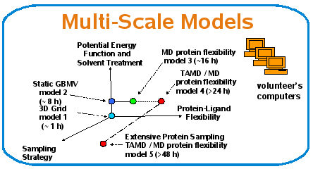 Multi-Scale Models