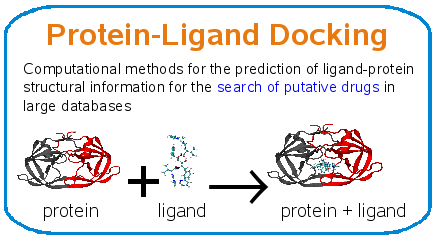 Protein-Ligand Docking